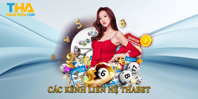 Các kênh liên hệ THABET
