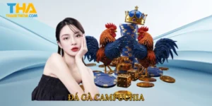 Đá gà Campuchia