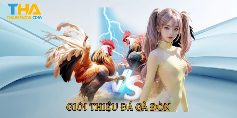 Giới thiệu đá gà đòn