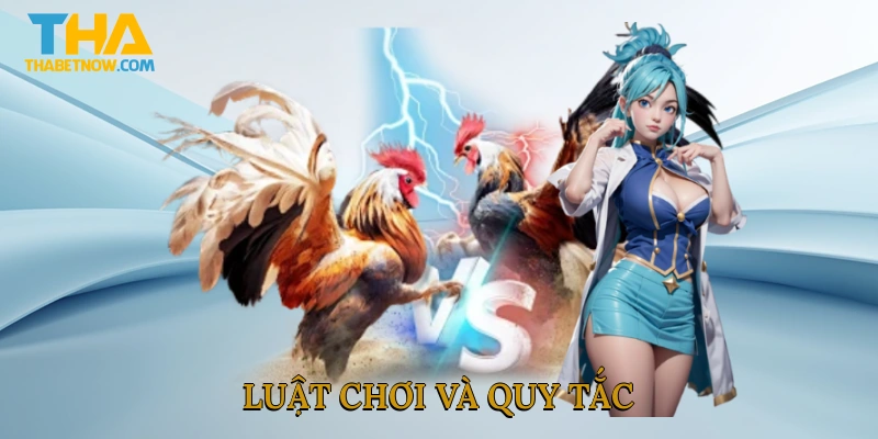 Luật chơi và quy tắc