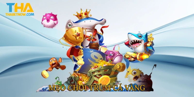 Mẹo chơi trùm cá vàng