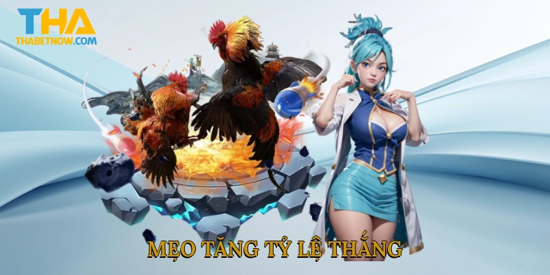 Mẹo tăng tỷ lệ thắng